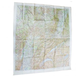 Large WWII German map of Nancy Hagenau